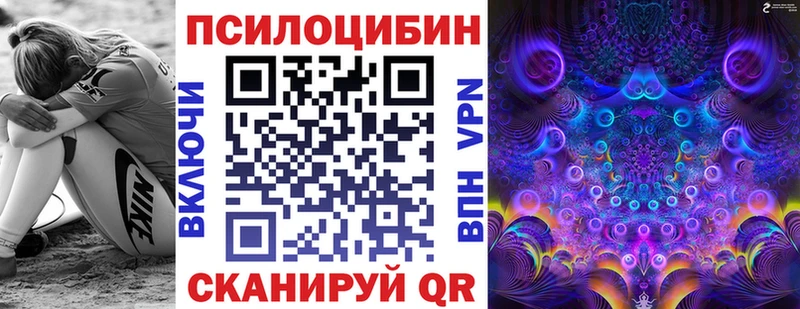 Купить  Безенчук  Псилоцибиновые грибы мицелий 